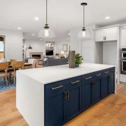 Wholesale 🥰 Mateo 10 in. 1-Light Black and Antique Brass Pendant Light with Clear Dome Glass Shade by Edvivi 👏 -Deals Edvivi || Atlas Store black and antique brass edvivi chandeliers epj4924bkab 4f 1000