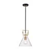 Best reviews of 🎉 Essence 10 in. 1-Light Contemporary Black and Antique Gold Cone Pendant with Clear Glass Shade by Edvivi ⌛