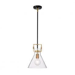 Best reviews of ๐ Essence 10 in. 1-Light Contemporary Black and Antique Gold Cone Pendant with Clear Glass Shade by Edvivi โ