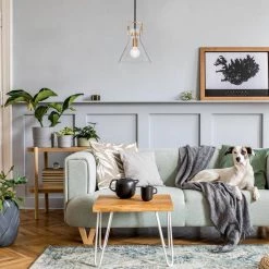 Best reviews of ๐ Essence 10 in. 1-Light Contemporary Black and Antique Gold Cone Pendant with Clear Glass Shade by Edvivi โ 19 Best reviews of ๐ Essence 10 in. 1-Light Contemporary Black and Antique Gold Cone Pendant with Clear Glass Shade by Edvivi โ -Deals Edvivi || Atlas Store black and antique gold edvivi chandeliers epj4545bkag c3 1000