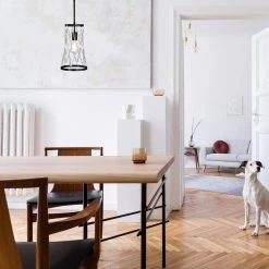 Flash Sale ✨ Perennial Contemporary 8 in. 1-Light Black Cone Cage Mini Pendant with Glass Bar Accents by Edvivi ⭐ -Deals Edvivi || Atlas Store black edvivi pendant lights epj3585bk 4f 1000