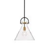 Budget ✨ Essence 1-Light Contemporary Oil Rubbed Bronze and Antique Gold Pendant with Clear Cone Glass Shade by Edvivi 🌟